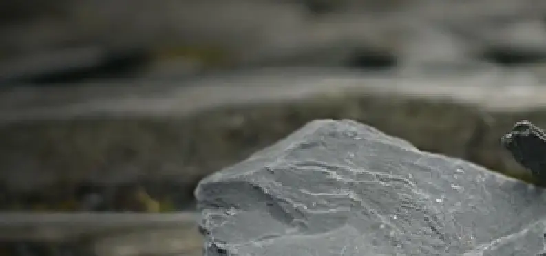 natural diamonds at jewelry shop and also online