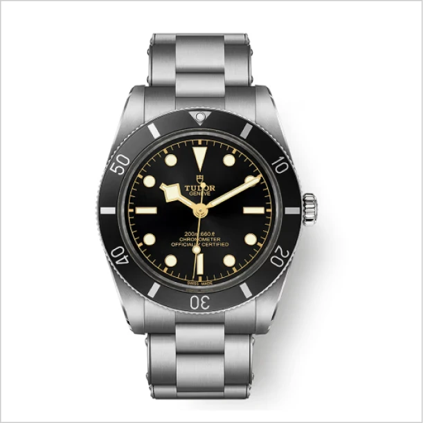 Black Bay Tudor Watches