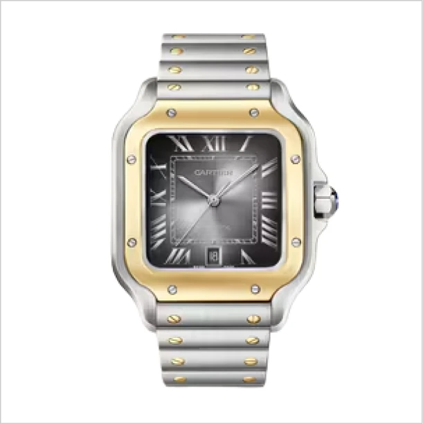 Cartier Santos Luxury Watches