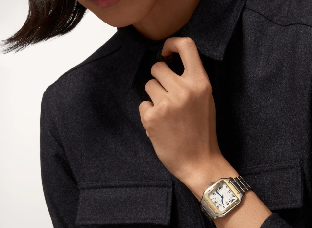 Cartier Watch Women High In Class