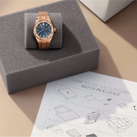 luxury watch care kit