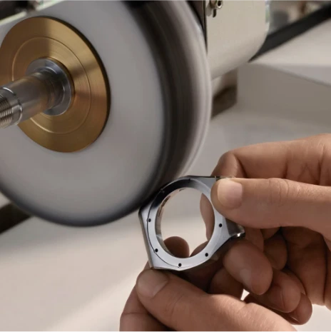 professional watch servicing guide