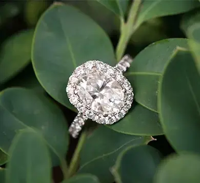 engagement ring landing